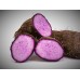 PURPLE YAM